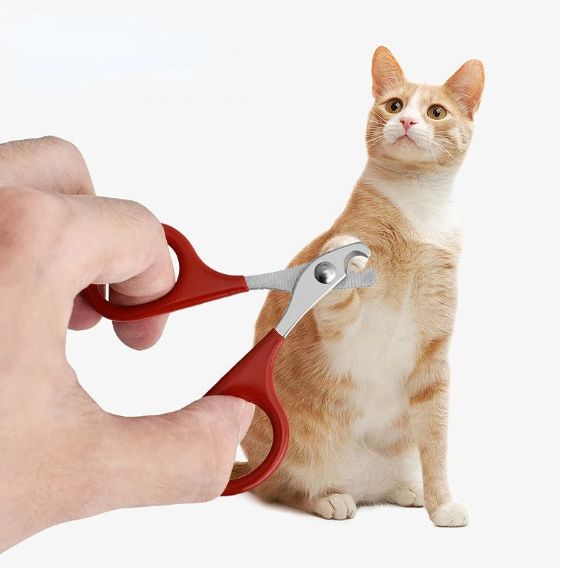 Coupe-ongles pour chien et chat