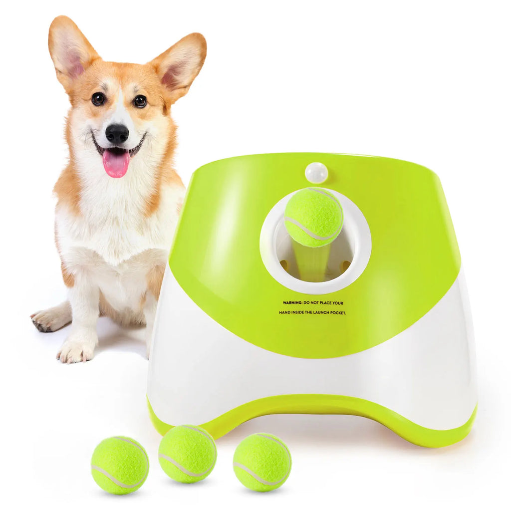 Lanceur automatique de balles pour chien