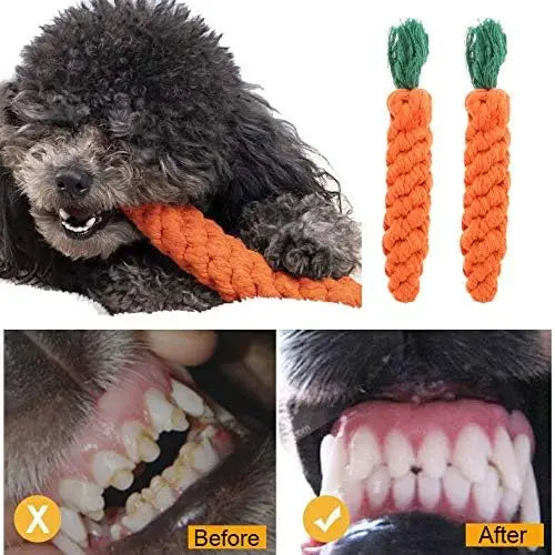 Corde jouet carotte pour chien – Nettoyage dentaire