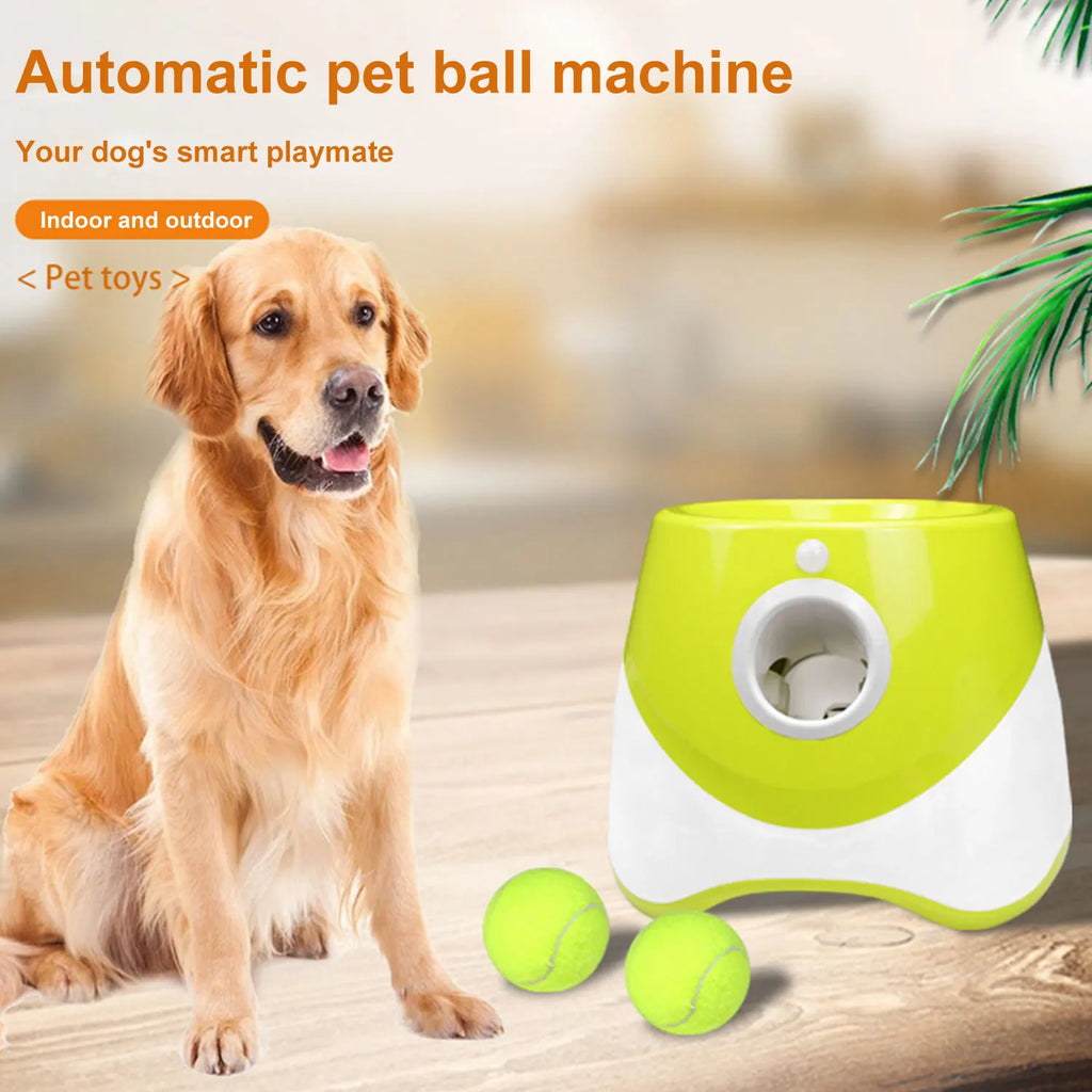 Lanceur automatique de balles pour chien