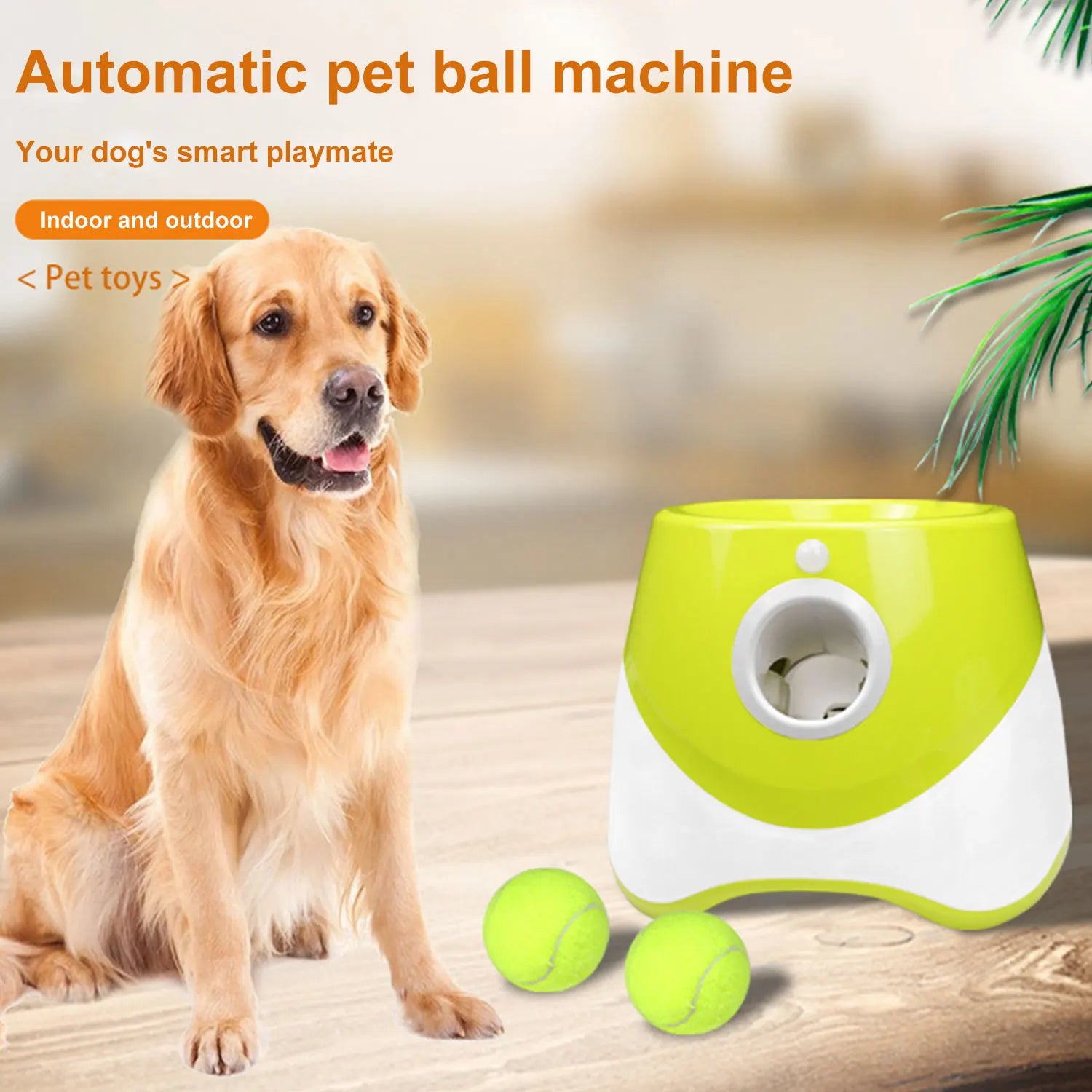 Lanceur automatique de balles pour chien