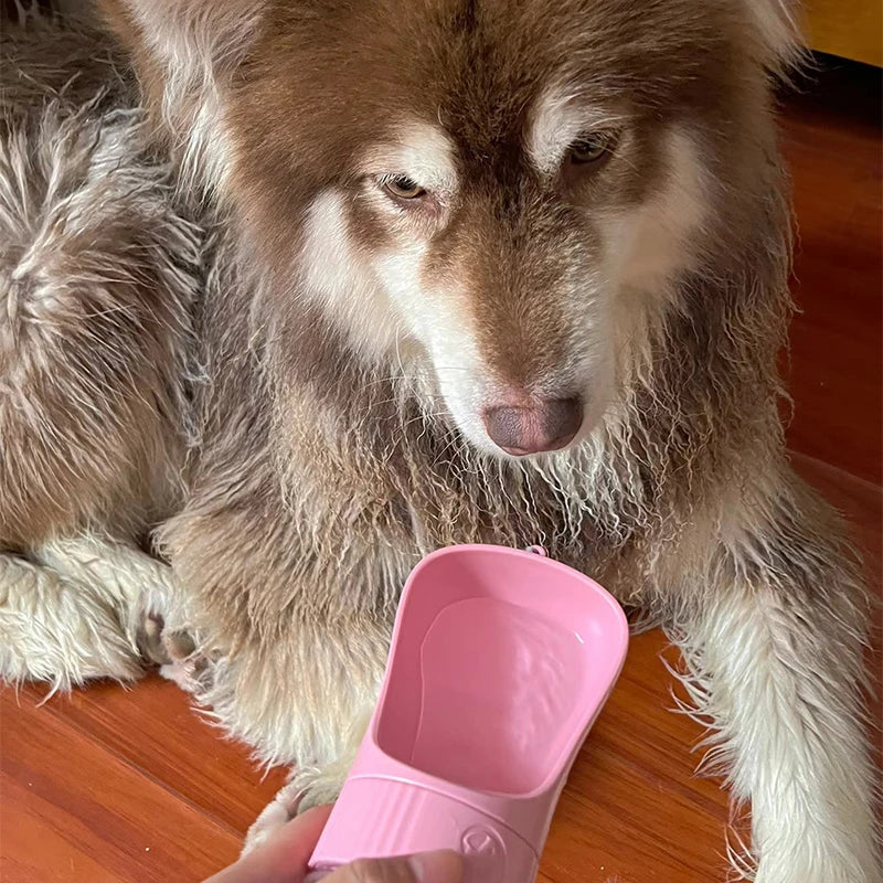 Bouteille d’eau portable 2 en 1 pour chien