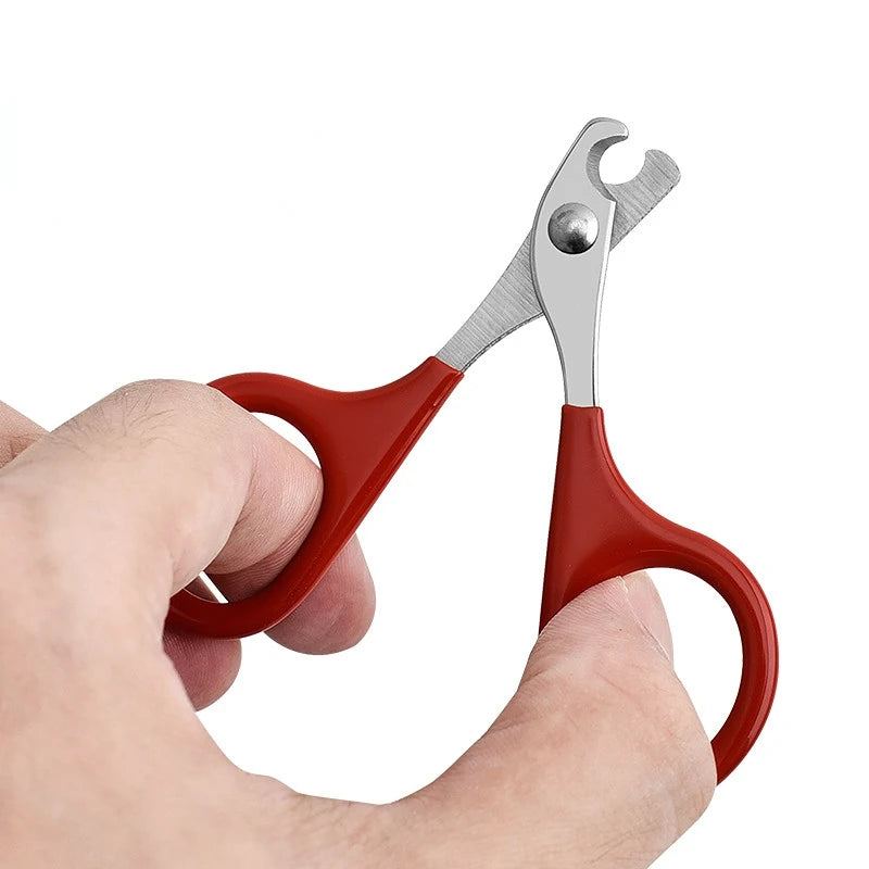 Coupe-ongles pour chien et chat