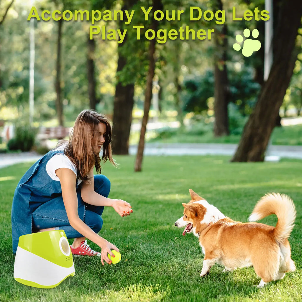 Lanceur automatique de balles pour chien